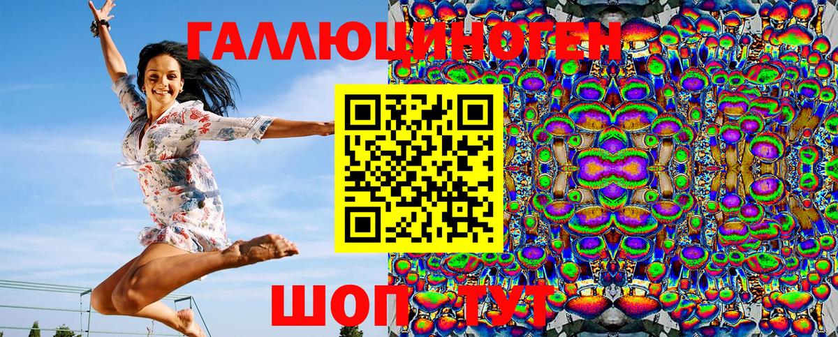 Галлюциногенные грибы Psilocybine cubensis Ангарск