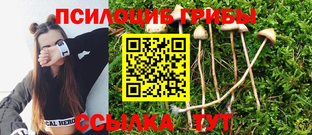 как найти наркотики  Галлюциногенные грибы мицелий  Вход с VPN  Ангарск 